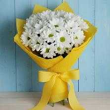 Букет цветов из:  Хризантемы в Мишутино