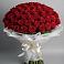 Букет 101 Красная роза Блэк Мэджик в Мишутино