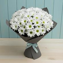 Букет цветов из:  Хризантемы в Мишутино