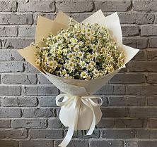 Букет цветов из:  Ромашки #REPLACE_PRED# Мишутино