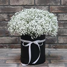 Цветочная композиция из Гипсофила в шляпной коробке #REPLACE_PRED# Мишутино