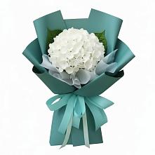 Букет цветов из:  Гортензия в Мишутино